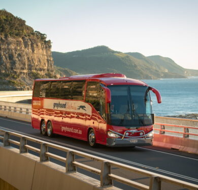 WhatsApp Image 2023-08-21 at 16.24.40 (1)